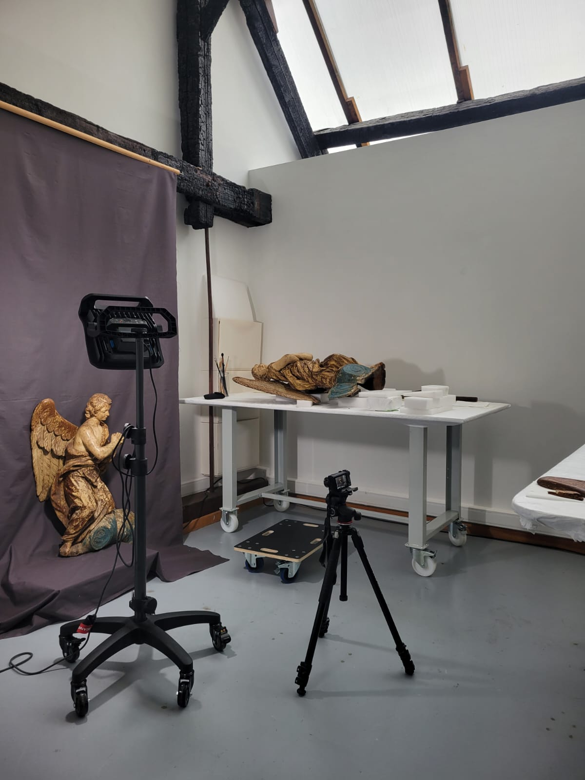 Atelier Cobalt Conservation — détail de restauration